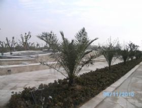 PICT0227