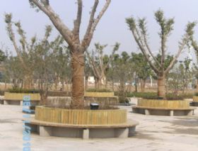 PICT0222