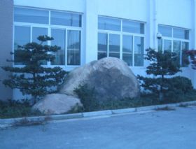 珠江路绿化工程