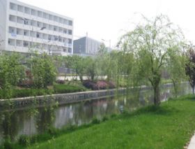 经贸学院绿化工程