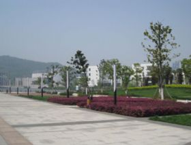 经贸学院绿化工程