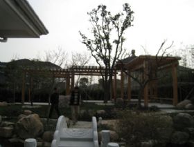 2007天邻风景91幢