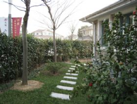 2007天邻风景91幢