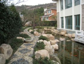2007天邻风景91幢
