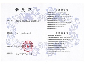 荣誉资质