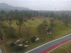 重庆双溪生态公园