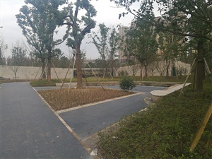 重庆双溪生态公园