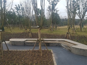 重庆双溪生态公园