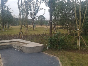 重庆双溪生态公园