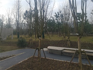 重庆双溪生态公园