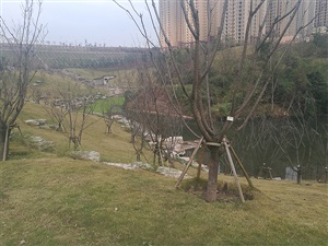 重庆双溪生态公园