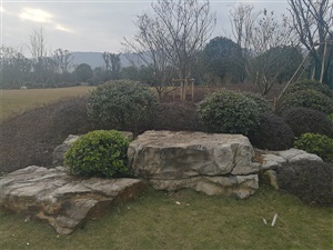 重庆双溪生态公园