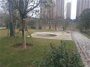 重庆双溪生态公园
