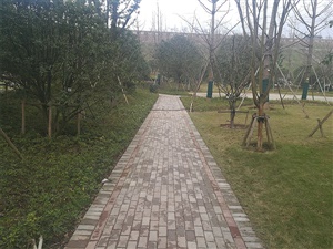 重庆双溪生态公园