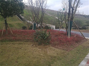 重庆双溪生态公园