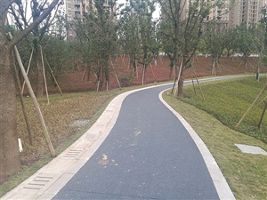 重庆双溪生态公园