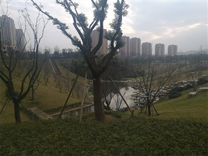 重庆双溪生态公园